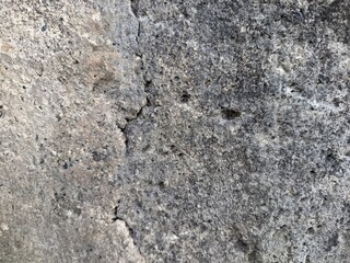 Fototapeta premium a highly detailed, close-up texture of a rough, weathered grey concrete surface covered in dark patches of mold, grime, and tiny aggregate stones.