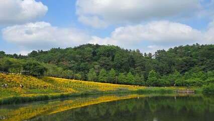 Naklejka premium lake in the forest
