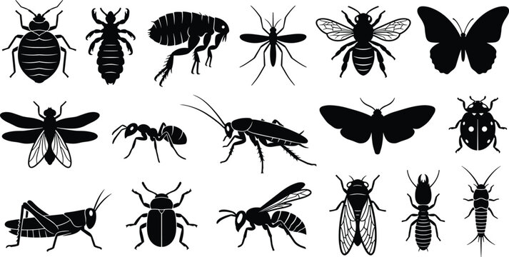 Insect Silhouette Collection Featuring Beetles, Butterflies, Bees, Ants and Flying Bug Species for Nature Design Projects
