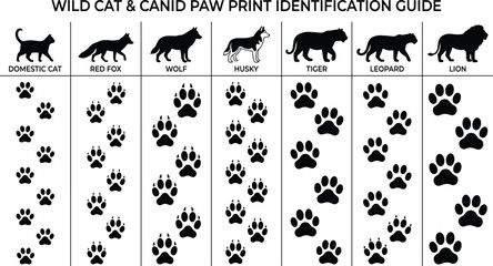 Wild Cat and Canid Paw Print Identification Guide Featuring Animal Tracks, Wildlife Footprints and Educational Nature Chart © Bappi