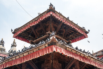 Fototapeta premium Group of Pigeons living on the roof of classic buildings in Kathmandu Durbar Square, Nepal. Pigeons are a ubiquitous and iconic fixture in Kathmandu.