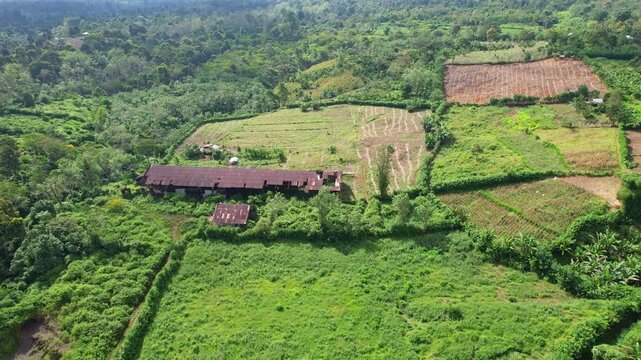 Aerial drone footage of the old colonial coffee factory, on the edge of Tambora national park volcano mountain, from the Pancasila side, in Sumbawa island, Indonesia, with coffee fields around