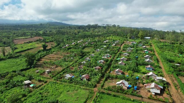Aerial drone footage of Tambora village, on the edge of Tambora national park volcano mountain, from the Pancasila side, in Sumbawa island, Indonesia, with coffee fields around and forests