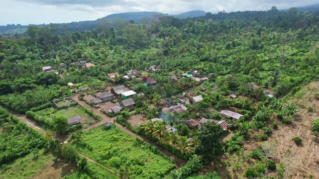 Aerial drone footage of the balinese people village on the edge of Tambora national park volcano mountain, from the Pancasila side, in Sumbawa island, Indonesia, with coffee fields around and forests