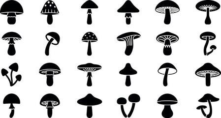 Mushroom Silhouette Black Glyph Vector Icon Set with Fungi, Toadstool, and Autumn Forest Nature Symbols for Organic Food Graphic Designs and Logos © Lutfar