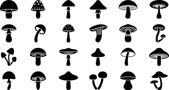 Mushroom Silhouette Black Glyph Vector Icon Set with Fungi, Toadstool, and Autumn Forest Nature Symbols for Organic Food Graphic Designs and Logos