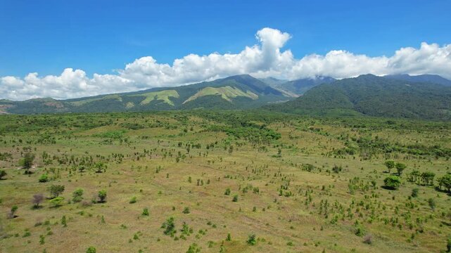 Aerial drone footage of a vast dry plain on the edge of Tambora national park volcano mountain, from the north side, with clouds in foreground mountains, in Sumbawa island, Indonesia