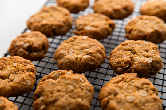 ANZAC biscuit close up while they cool on a rack