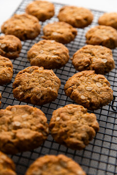 lined up ANZAC biscuits cooling after baking