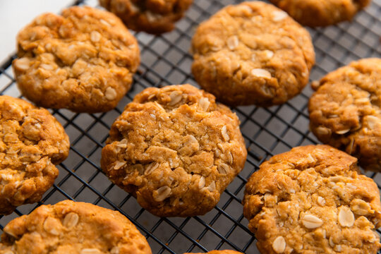 close up of an ANZAC biscuit while it cools in rows