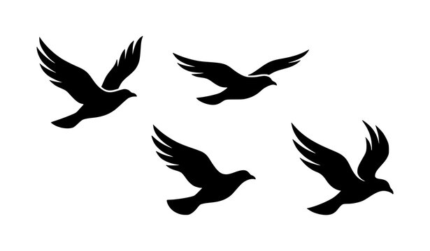 Four Black Bird Silhouettes in Dynamic Flying Motion Isolated on White Background Vector Illustration