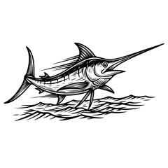 Fototapeta premium Detailed drawing of a marlin fish.