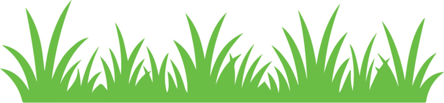 Green Grass Vector Illustration Isolated on White Background