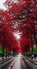 Fototapeta premium Vibrant Red Trees Lining City Street.