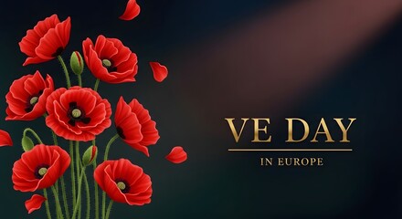 Ve day in europe with red poppy flowers on dark background