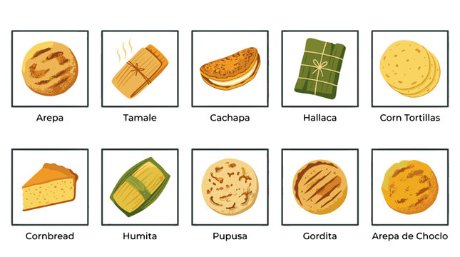 Collection of traditional mexican snacks including tamale and corn tortillas