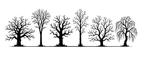 tree trunk silhouette © wapa