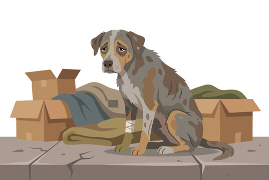 Sad stray dog sitting boxes, injured paw abandoned street, lonely homeless animal urban hardship cartoon vector background. Brown gray coat, expressions sadness, need shelter warmth, illustration