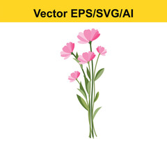 Beautiful pink cosmos flower bouquet illustration © Nurul Alam