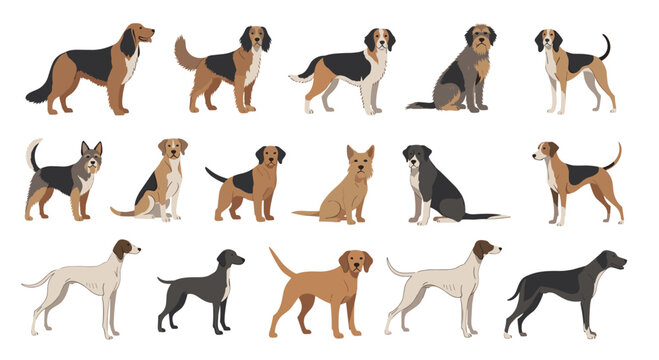 Diverse collection of different dog breeds in various standing and sitting poses is presented on a white background.