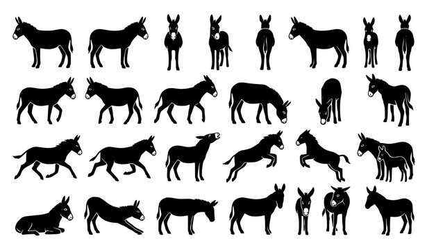 Black Donkey Silhouette Vector Set with Farm Animal Poses and Different Angles Collection