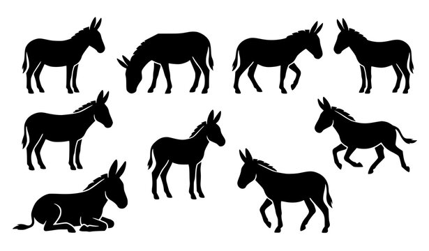 Minimal Black Donkey Silhouette Vector Set with Modern Farm Animal Illustration Shapes