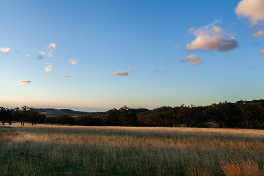 Last light over long grass in paddock on Australian farm