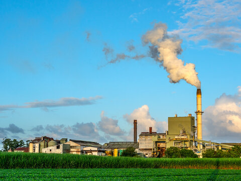 Condong Sugar Cane Mill Near Murwillumbah