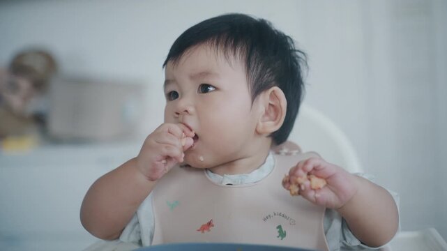 Asian Baby Using Finger to Feed Herself a Food with Baby Led Weaning Concept.Cute Asian baby boy eating finger food in high chair.