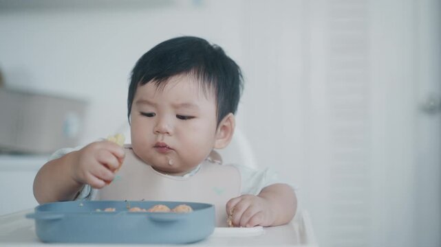 Asian Baby Using Finger to Feed Herself a Food with Baby Led Weaning Concept.Cute Asian baby boy eating finger food in high chair.