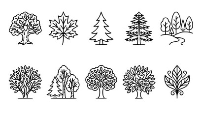 Minimal botanical forest tree vector icon collection with plant and woodland outline symbols EPS10 © MdtTahomidHossain