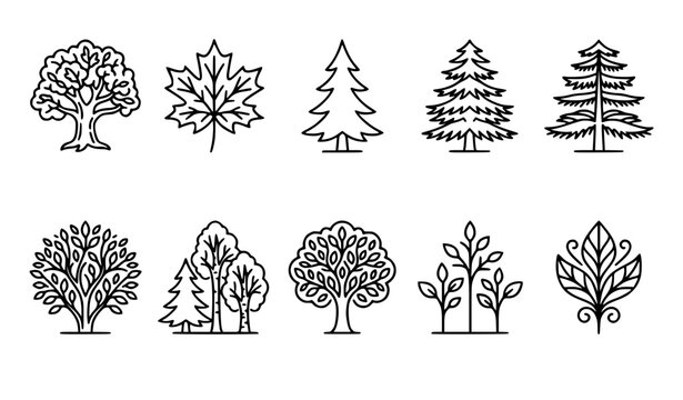 Nature forest botanical tree outline icon pack with minimal plant symbols editable stroke vector EPS10