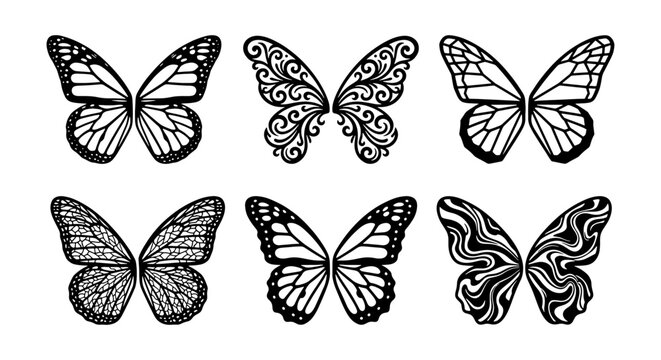 Butterfly Wing Vector Graphics, Delicate Insect Silhouettes, Ornate Nature Elements