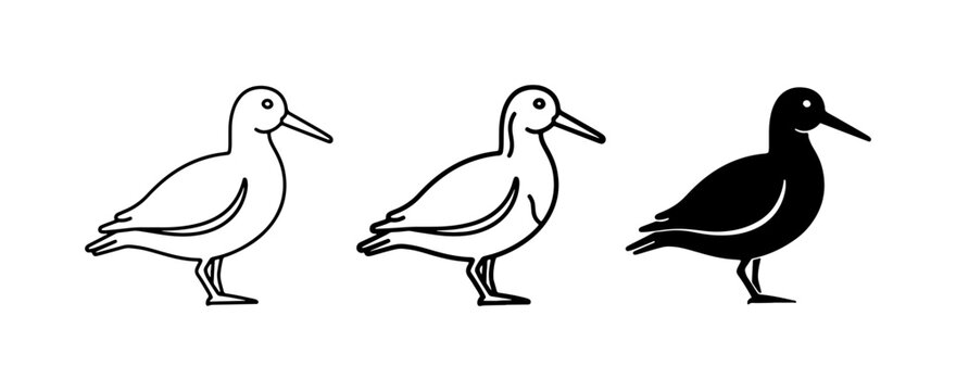 Shorebird Icons, Bird Silhouettes, Vector Graphics