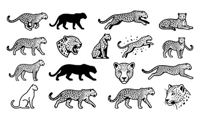 Minimal Leopard Silhouette and Hand Drawn Vector Set with Modern Wild Cat Illustration Designs © labu