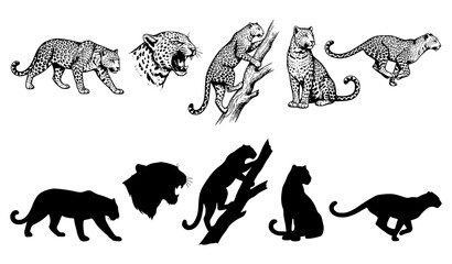 Black and White Leopard Hand Drawn Vector Collection with Safari Animal Silhouettes © labu