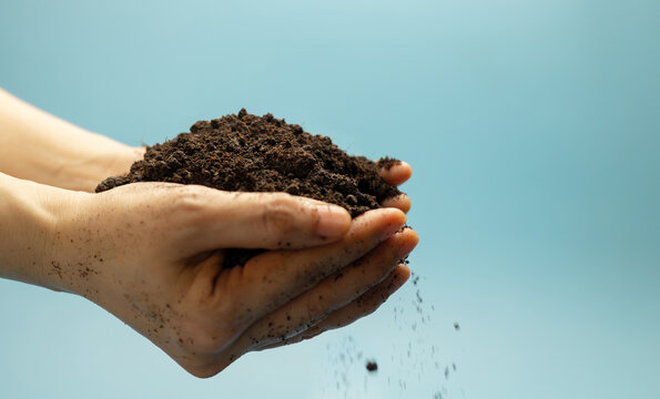 Hands holding fertile soil against blue sky,Agriculture, environmental sustainability