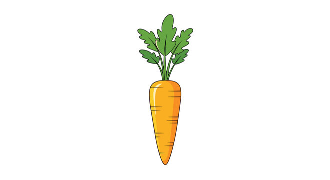 Single orange carrot with vibrant green leaves on top shown in a clean vector style isolated on a plain white background.
