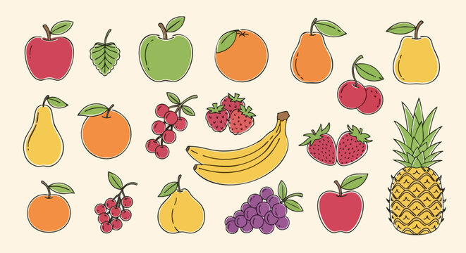 Set of colorful hand drawn fruits and berries illustration.