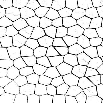 Minimal Voronoi pattern with organic polygon cells and clean line structure. Ideal for abstract backgrounds, tech designs, and modern geometric visuals.