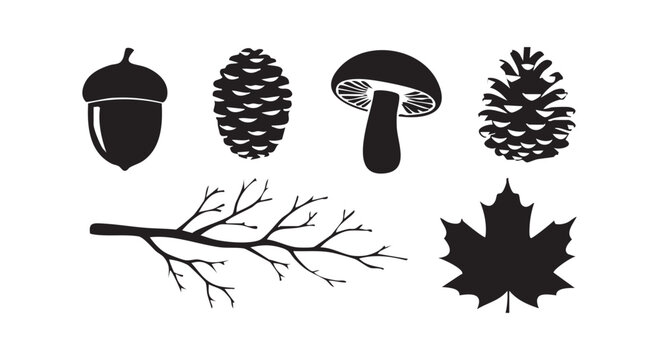 Autumn nature set with acorn pine cone mushroom branch and maple leaf collection black silhouettes fall season objects.