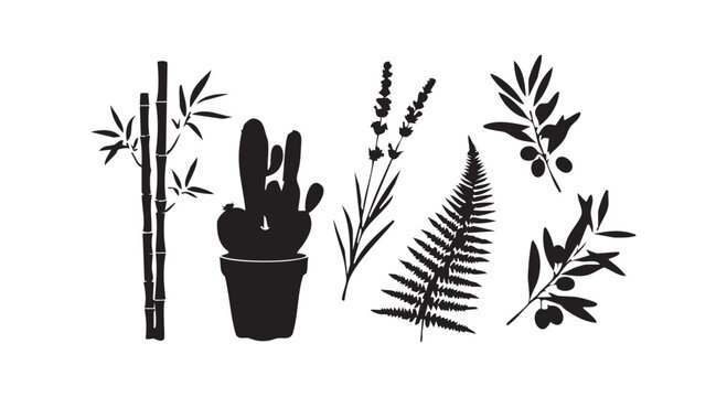 Black silhouette collection of various plants including bamboo cactus lavender fern and olive branches for nature design.