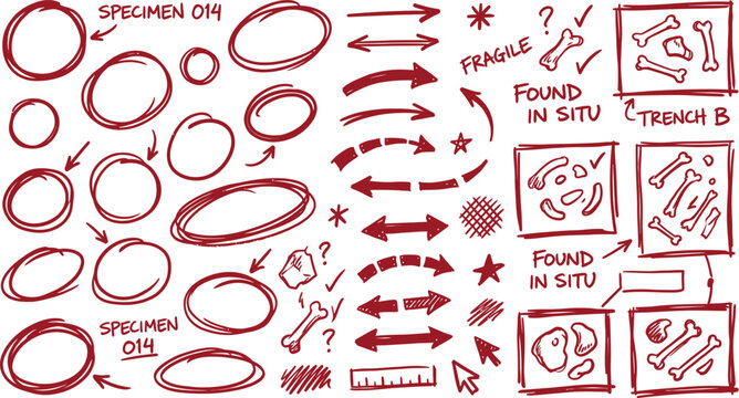 Fossil identification circle bone alignment arrow excavation note specimen emphasis frame paleontology annotation element red line pen highlight annotation marker stroke