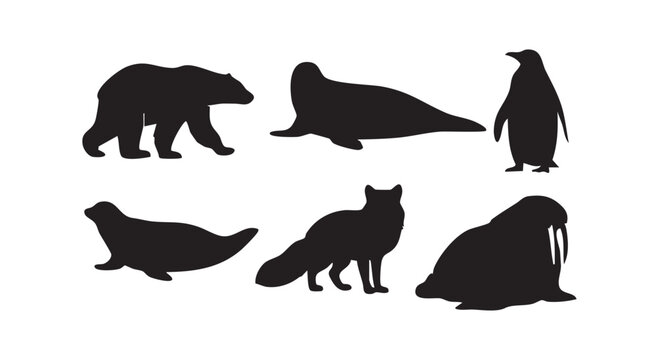 Set of arctic and antarctic animal silhouettes polar bear seal penguin fox walrus isolated on white background design.