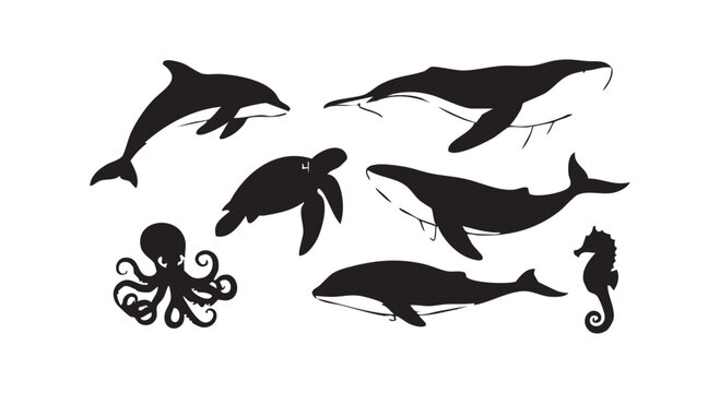 Set of silhouettes of various marine animals and sea creatures featuring dolphin whale turtle octopus and seahorse.