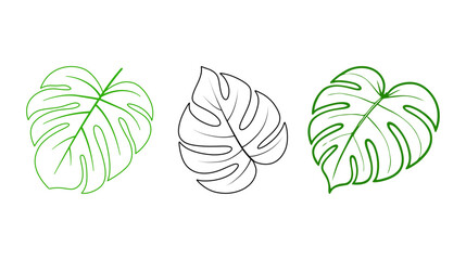 Three monstera deliciosa leaf outlines in green and black on white background with leaf outline tropical leaf plant illustration © Adiba