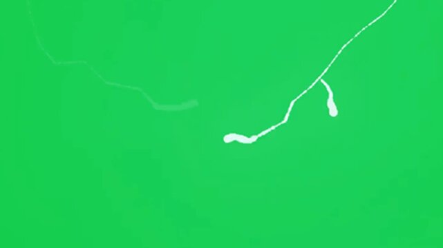 Lightining  Thunderbolt Loop Green Screen Video