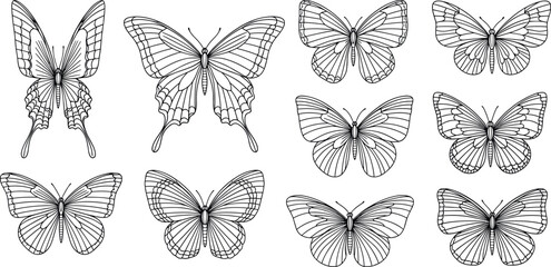 Fototapeta premium Detailed Butterfly Outline Line Art Vector Icon Set with Elegant Black and White Insect Wing Designs for Coloring Books, Tattoos, Logos, and Graphic Illustrations