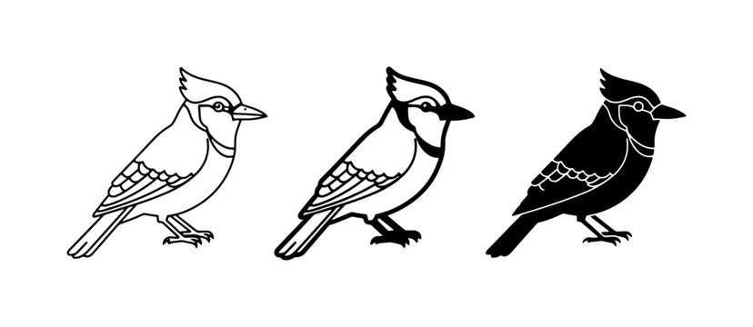 Blue Jay Vector Icons: Line Art, Outline, Silhouette Bird Graphics