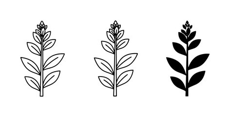 Botanical Vector Icons: Leafy Stems, Plant Sprigs, Natural Elements © Ruma